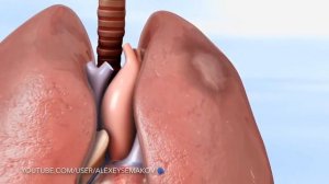 ТЭЛА. Тромбоэмболия легочной артерии.