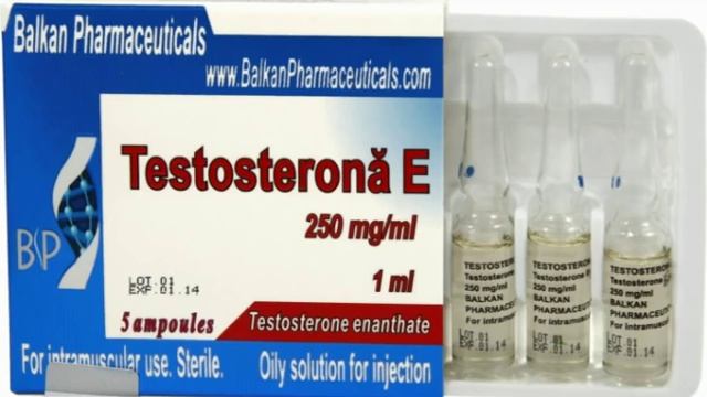 Тестостерон Энантат смотреть онлайн