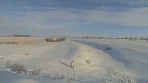 Мотобуксировщик Алабай . Охота на зайца. Доехать, куда на лыжах не дойдешь.