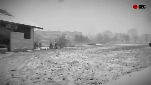 Лузер-атака тараканов смотреть онлайн