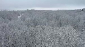 Зимний лес с квадрокоптера.