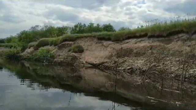 Гнезда ласточек береговушек на реке Ипуть смотреть онлайн