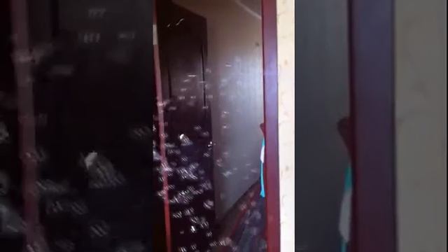 Bubble gun обзор