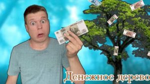 Малой нашёл денежное дерево!🌲