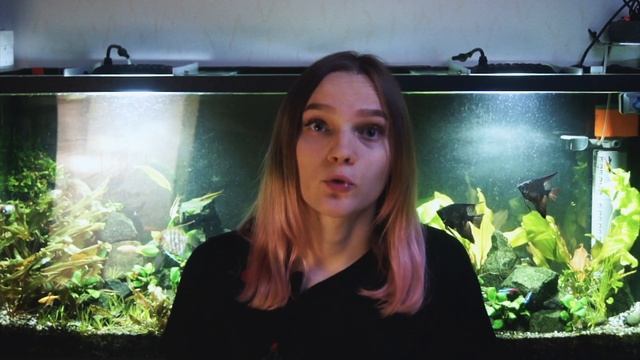 Как похудеть? Как сбросить лишние кг быстро и на долго.