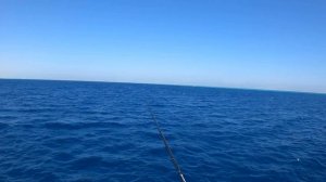 Ловим КОТЛОВОГО Тунца в Хургаде, Рыбалка в Египте, Red Sea Fishing