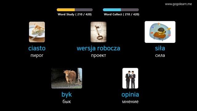 Выучить польский через картинки |польский словарь средняя школа3 | Golearn