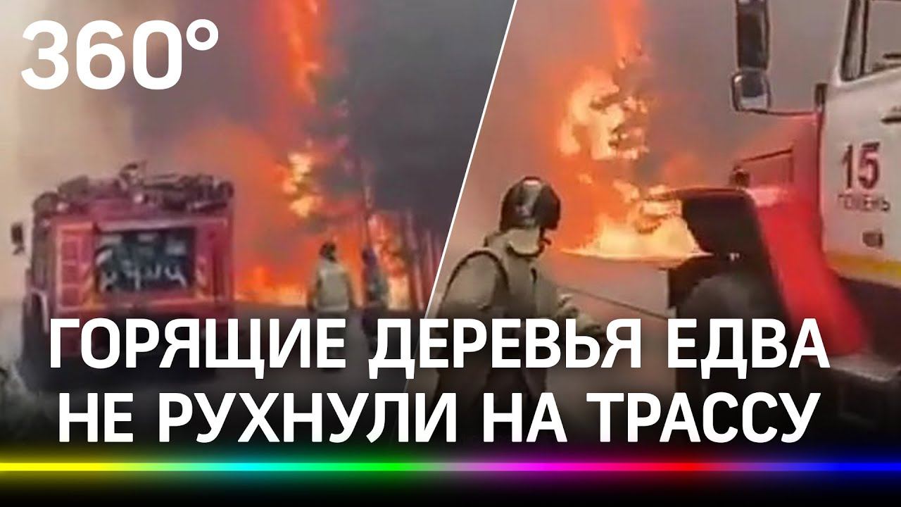Горящие деревья едва не рухнули на трассу «Екатеринбург - Тюмень»