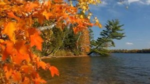 "В багрец и в золото одетые леса..."