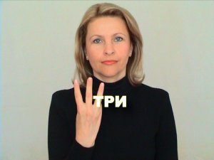 ЖЕСТОВЫЙ ЯЗЫК. СЛОВАРЬ. Три