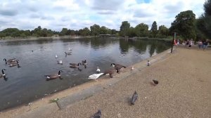 Лондон ??London. Hyde Park??Гайд-Парк. Царство красоты и гармонии?