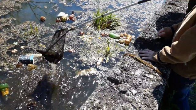 Очистка реки в Минске от мусора смотреть онлайн