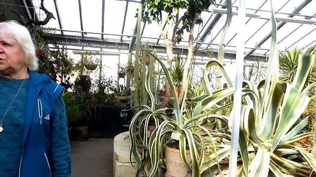 Ботанический сад Санкт-Петербурга. Тропики.Фрагменты экскурсии 11 сентября 2016 года.