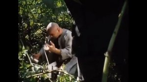 Конь болел. Конь жалел. Каюм жениться хотел.