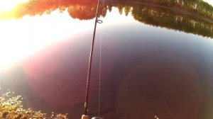 Ловля окуня на китайский воблер копия Yo Zuri L  Minnow  66