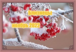 Близнецы! Гороскоп на ноябрь 2022 года!