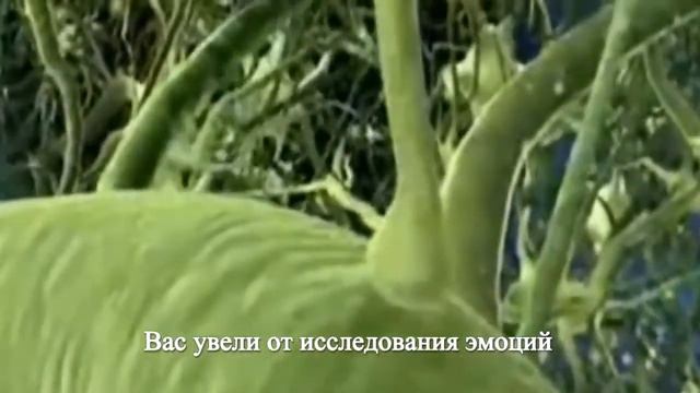 Послание с Плеяд  Зов к Пробуждению Семье Света