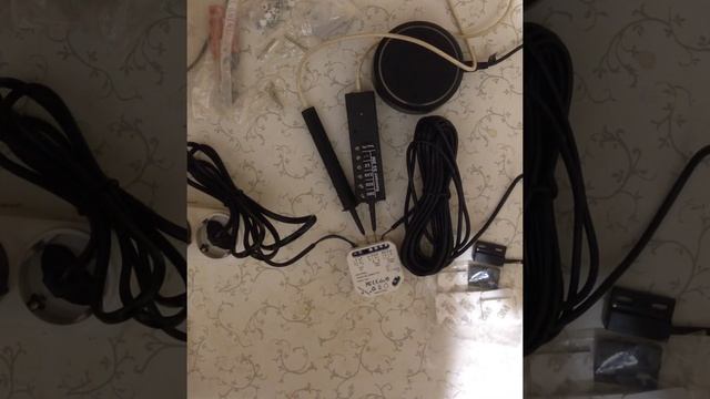 Алиса открытие ворот смотреть онлайн