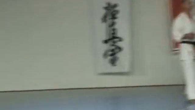 Oyama Karate Kyokushin Hungary Nemzetközi Edzőtábor 2015 смотреть онлайн