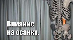 Квадратная мышца поясницы.Как влияет на осанку.