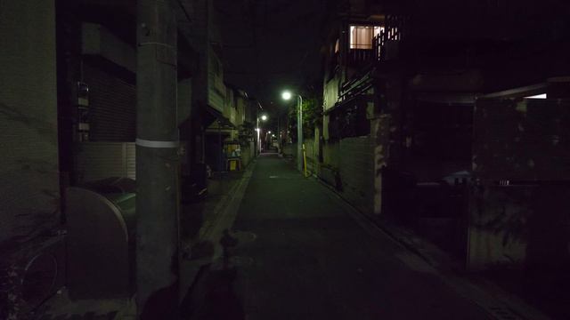 4K・Ночная прогулка от Ирия до Ёсивары и реки Сумида смотреть онлайн