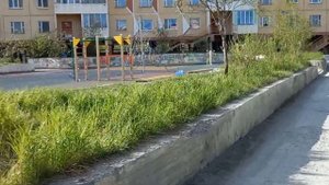 Билибино, знакомимся с городом #видео #вахта #приехали на работу #север #чукотка #сопки #лето2023