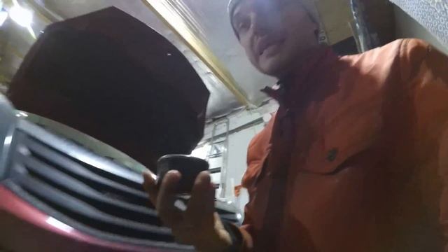 Renault Sandero Stepway. Маленькое ТО! смотреть онлайн