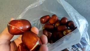 Унаби сбор урожая, обзор сортов, итоги сезона