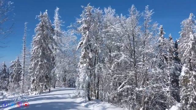 Музыка лечит сердце и сосуды ❄️Самая красивая мелодия в мире! ! Красивая мелодия до слёз!СНЕГ смотреть онлайн