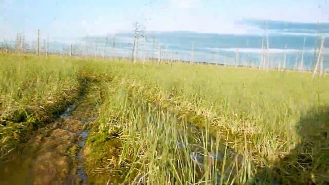 Мотобуксировщик Летом 2015 г. Болото с водой! (Часть 6) смотреть онлайн