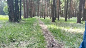 РАСПАКОВКА с WILDBERRIES №6 🔥распаковка  и обзор #джинсы #футболка #wildberries