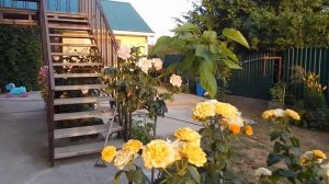 Станица Благовещенская, где остановиться для отдыха