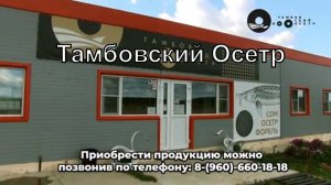 Тамбовский Осетр | Производство