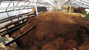 Как приготовить землю для рассады в теплице?