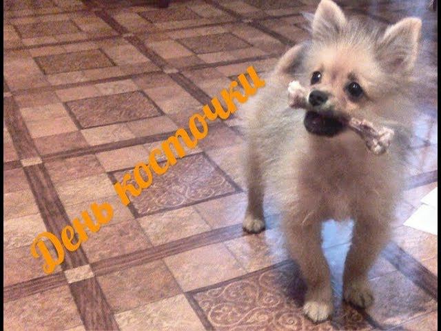 День косточки смотреть онлайн