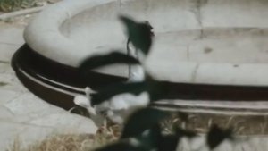 Петров и Васечкин - Это "Гусь" [1080p]