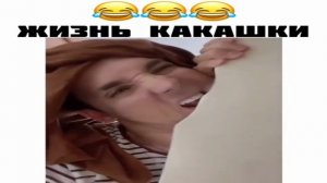 Жизнь какашки.