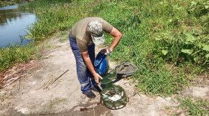 Северский Донец | Ловля синца
