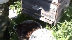 Вытопка воска 1