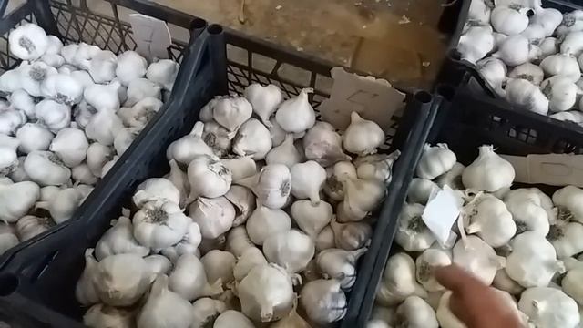 Не стрелкующиеся сорта чеснока. Лежкость и вкусовые качества основные достоинства этих сортов. смотреть онлайн