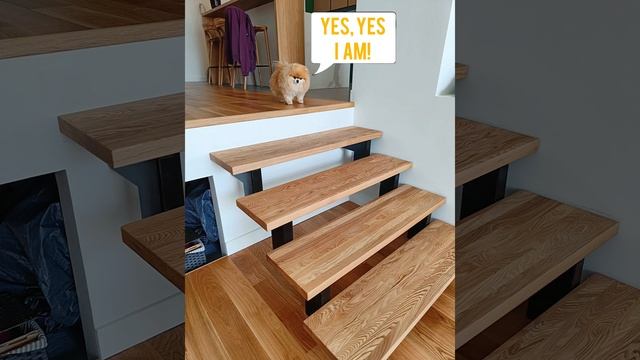 Вот кто по-настоящему одержим нашей работой? смотреть онлайн