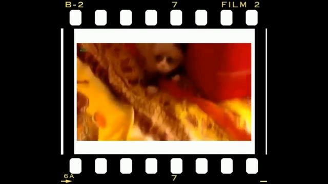 Подборка смешная - Супер котята смотреть онлайн