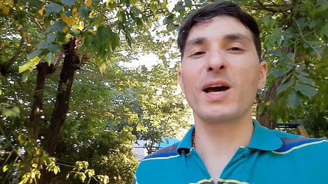 Коллаборация.Сравнение переводов библии и очевидное изменение смысла.Свойства кожуры помело.
