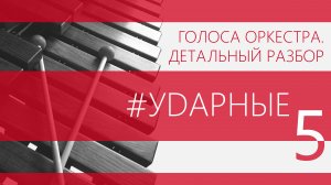 Ритмичные ударные: пульс симфонического оркестра
