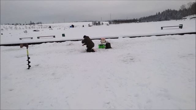 Поимки, сходы сломанные крючки. Клевое Место. д. Савельево. смотреть онлайн