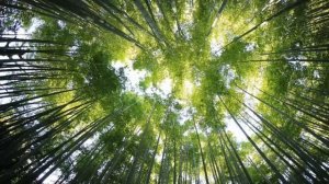 Миллионер смеялся над бедной официанткой в ресторане и упал на колени, когда она сказала...