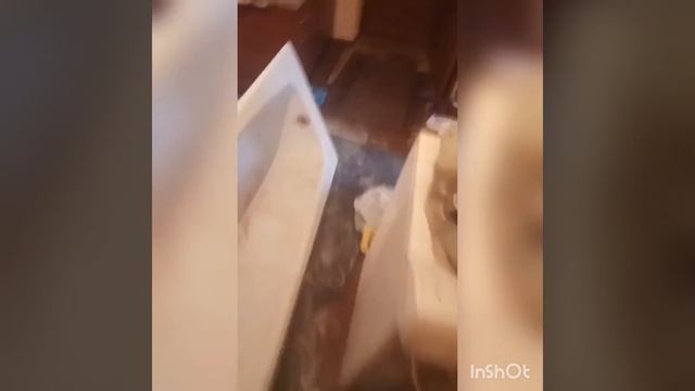 штукатурка ванны смотреть онлайн