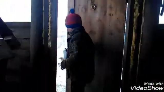 Содержание подсадных уток зимой Как кормить как за ними ухаживать смотреть онлайн