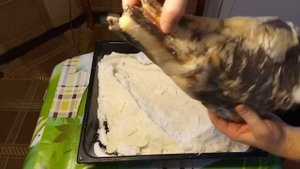 Вяленая баранья нога. Или же ХАМОН?!