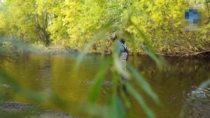 Ловля КУНДЖИ НАХЛЫСТОМ на Сахалине